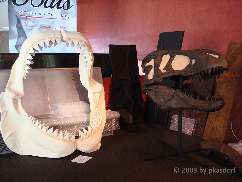 013 Cranbrook Institute of Science [2008 Jan 02].JPG